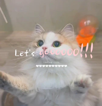 Let's go!影片封面