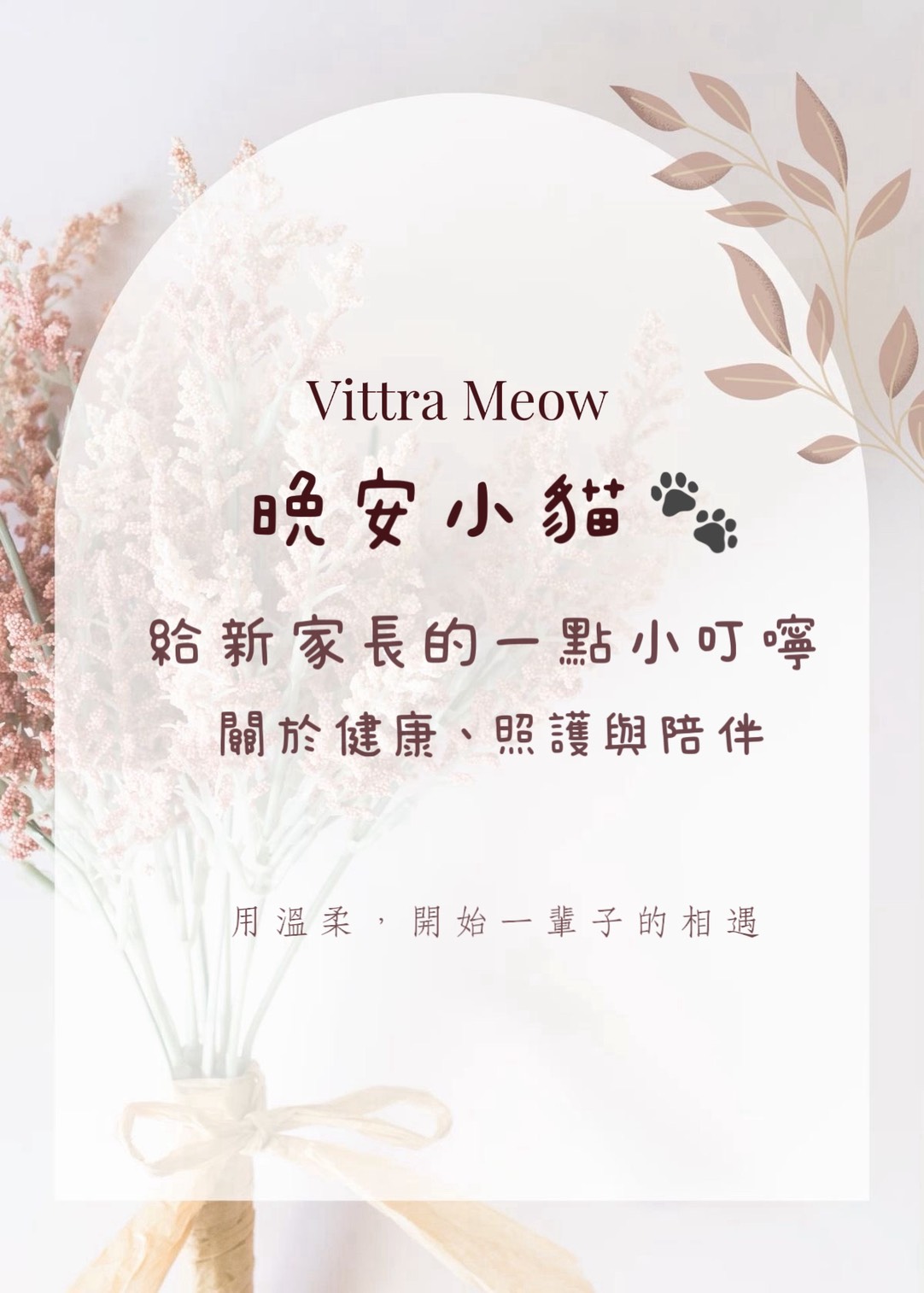 回家後的照護提醒